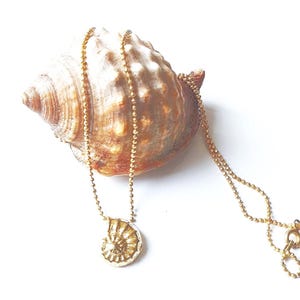 May include: A gold-colored necklace with a pendant shaped like a nautilus shell rests on a large, textured seashell. The necklace chain is a delicate beaded style, and the pendant has detailed spiral patterns. The seashell is a light brown color.
