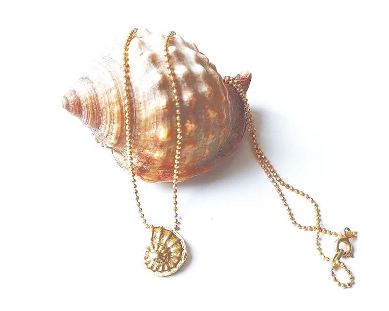 May include: A gold-colored necklace with a pendant shaped like a nautilus shell rests on a large, textured seashell. The necklace chain is a delicate beaded style, and the pendant has detailed spiral patterns. The seashell is a light brown color.