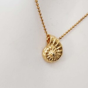May include: A gold-colored pendant necklace featuring a detailed ammonite fossil charm. The charm is a spiral shape with intricate surface detailing. The necklace chain is a delicate ball chain style, and the pendant hangs from it.