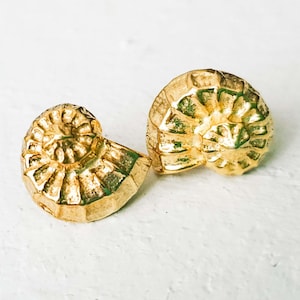 Örhängen i guld med nautilusskal, silverörhängen med ammonit och strandbröllop