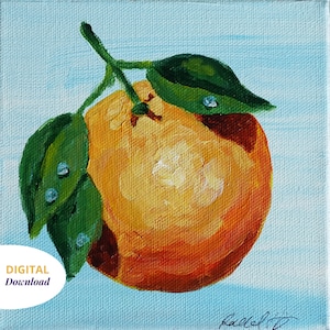 Dunedin Orange Digital Download Square Art Print
