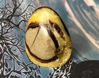 Septarian crystal freeform