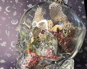 XL glass skull curio bottle filled with bones, flowers and more