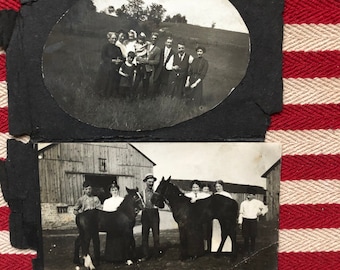 Antique farm photos - Black & White photo - Family Farm- homestead- Foal - Wooden Barn - Farm Horses