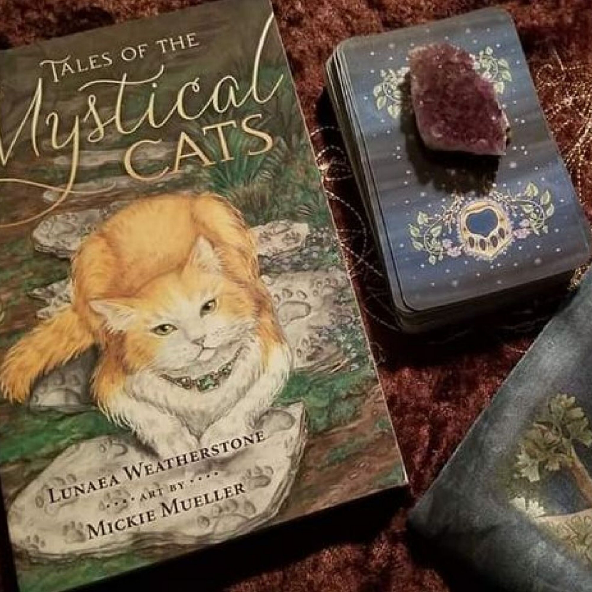 The ark animal tarot - Etsy 日本