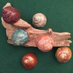 Moonsnails in ceramic. Can hang on wall.  2 & 3/4 inches in diameter.