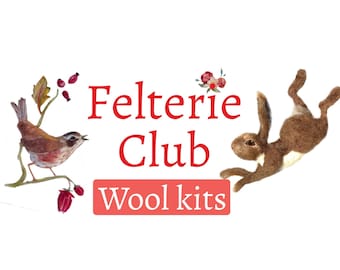 Kits de lana mensuales para Libertys Felterie Club