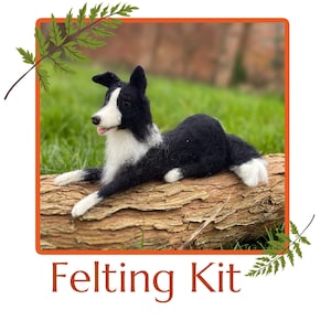 Border Collie needle felting kit - learn with Libertys Felterie Felting kits