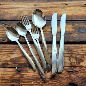 Vintage Oneida Community TWIN STAR Stainless Flatware Place Knives Servers Soup Spoons Salad Dinner Forks Teaspoons Atomic Silverware