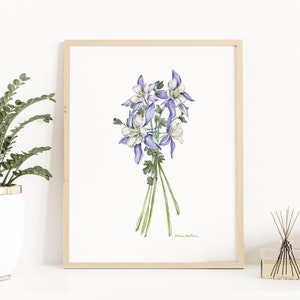 Columbine Flower Watercolor Print: Colorado State Flower Botanical Art