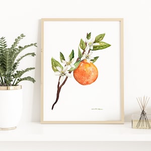 Watercolor Orange Blossom Print: Florida State Flower Botanical Art