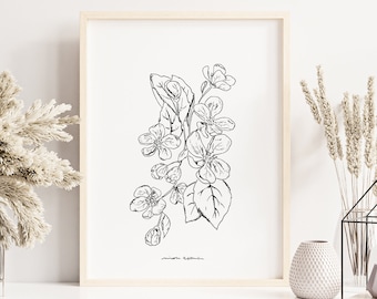 Appelbloesem lijntekeningen bloemen - Botanische kunst zwart-witte handgetekende bloemen
