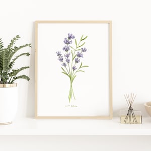 Watercolor lavender sprig - Botanical Art Watercolor, essential oil plant illustration, plant art