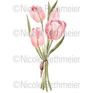 May include: A watercolour painting of a bouquet of pink tulips with green stems and leaves. The tulips are tied together with a brown ribbon.