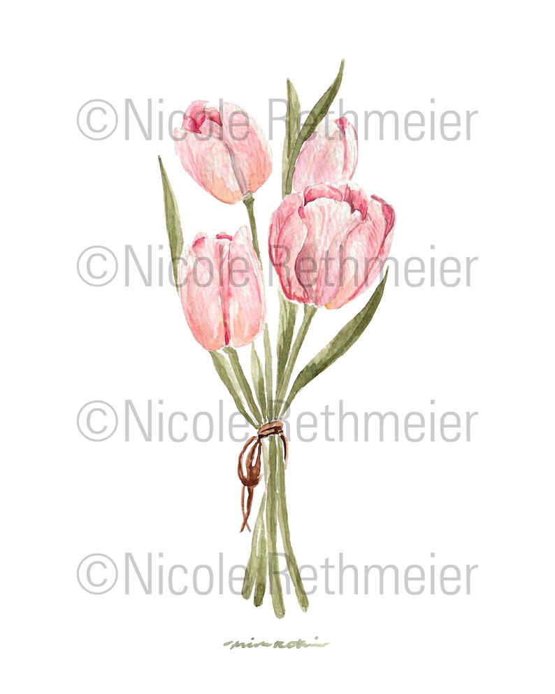 May include: A watercolour painting of a bouquet of pink tulips with green stems and leaves. The tulips are tied together with a brown ribbon.