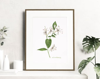 Watercolor honeysuckle flowers - Botanical Art Watercolor, birth month flowers - June