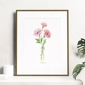 Watercolor Carnation flowers - Botanical Art Watercolor, birth month flowers - January