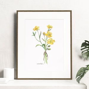 Buttercup watercolor print. Meadow buttercup Ranunculus acris flower