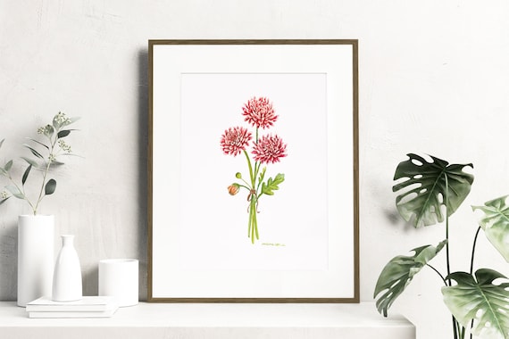 Watercolor chrysanthemum flowers - Botanical Art Watercolor, birth month flowers - November