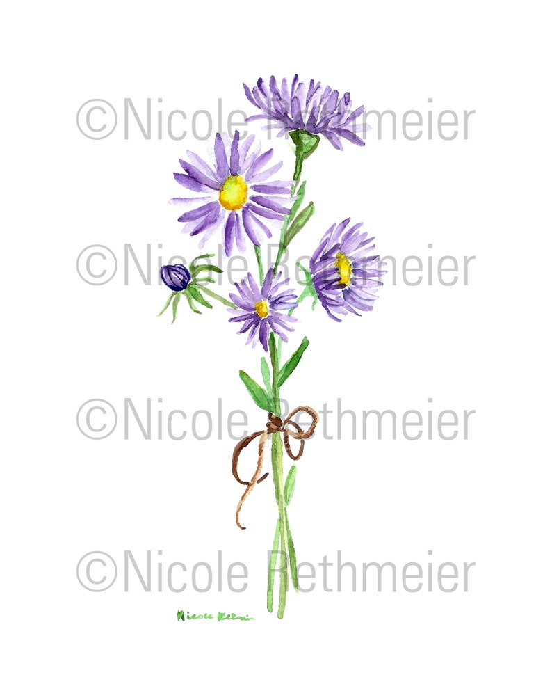 May include: A watercolor painting of a bouquet of purple flowers with green stems and leaves. The stems are tied together with a brown ribbon.