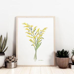 Watercolor goldenrod flowers - Botanical Art Watercolor, state flowers - Nebraska, Kentucky