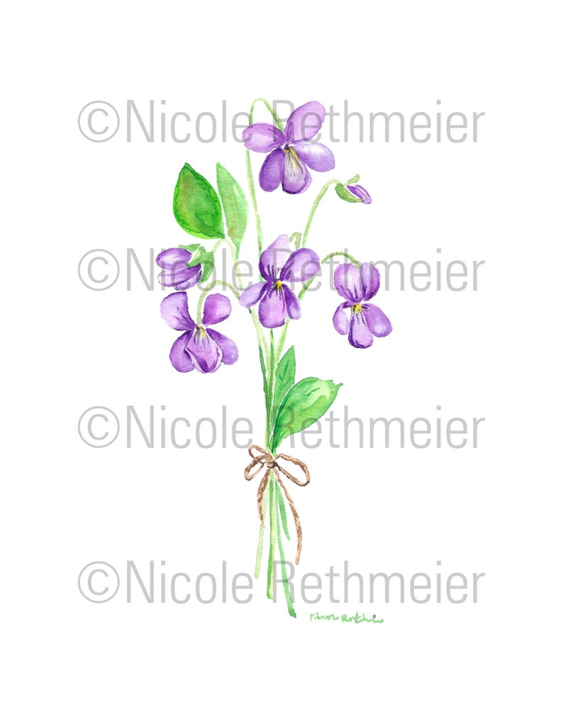 Puede incluir: Una pintura de acuarela de un ramo de violetas moradas atadas con un cordel. Las flores est&aacute;n dispuestas en un estilo suelto y natural, con los tallos extendi&eacute;ndose desde el centro del ramo. El fondo es blanco.