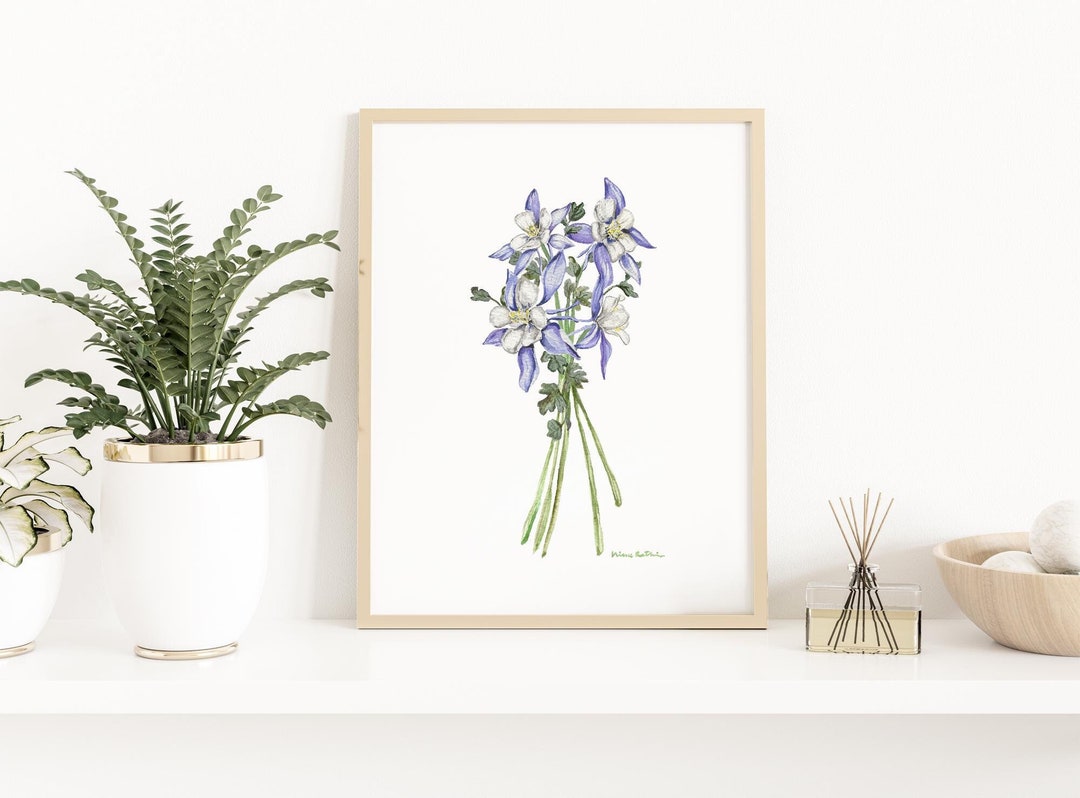 Columbine Flower Watercolor Print: Colorado State Flower Botanical Art ...
