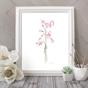 Puede incluir: Una pintura de acuarela de un ramo de flores de guisante dulce rosa con tallos y hojas verdes. Las flores est&aacute;n atadas con una cinta marr&oacute;n. La pintura est&aacute; enmarcada en un marco blanco.