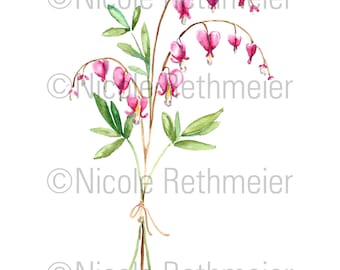 Watercolor Bleeding Heart Flowers Botanical Art Watercolor