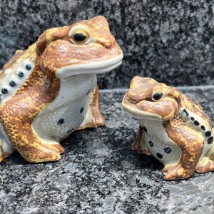 Toad Figurine - Realistic - Ceramic - Pair - Mother - Baby - Planter - Garden - Knickknacks - Collector - Mid Century - BBX