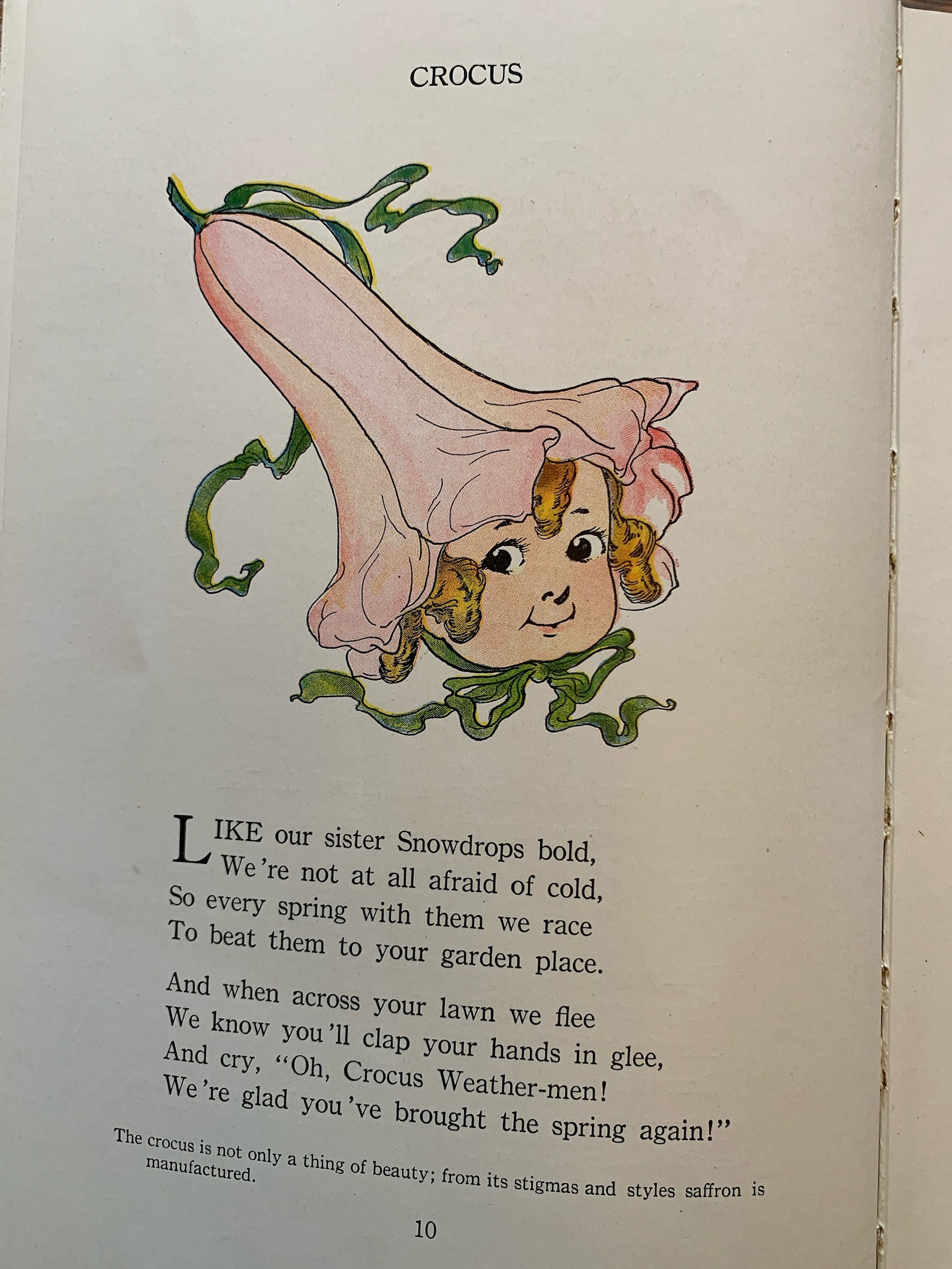 Flower Babies Book Children Poetry Gardening Nursery Etsy.de