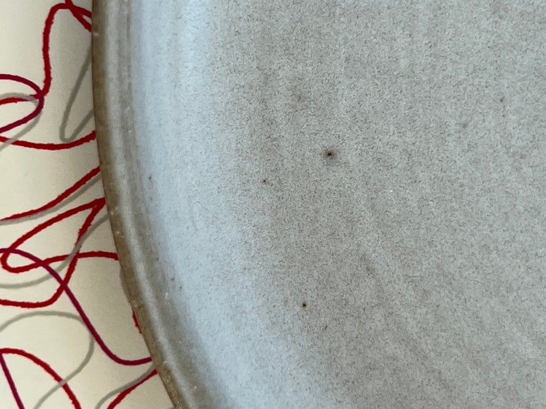 May include: A close-up of a white ceramic plate with a slightly textured surface. The plate has three small brown spots.