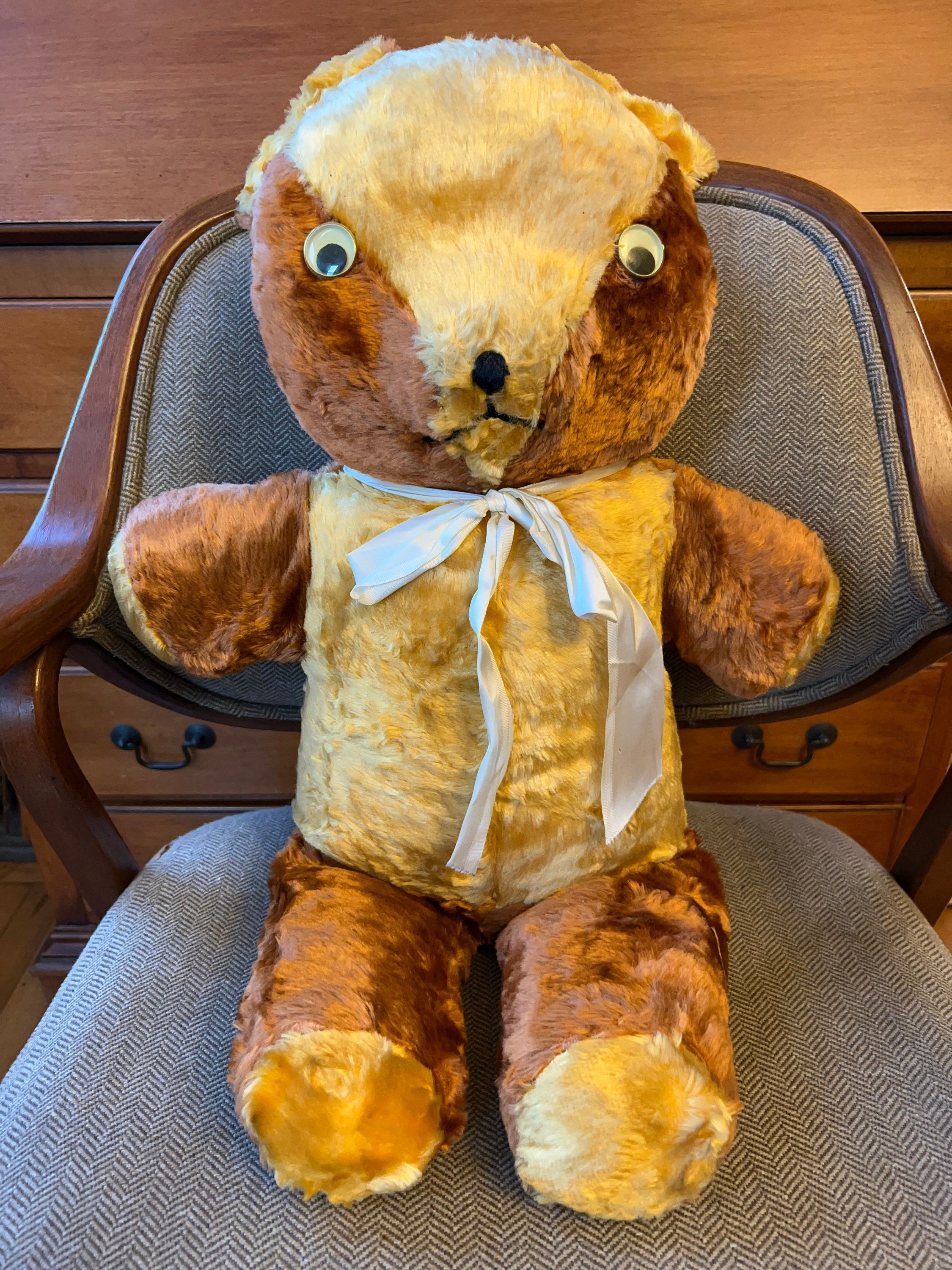Teddy Bear - Mid Century - Two Toned - Googly Eyes - Large