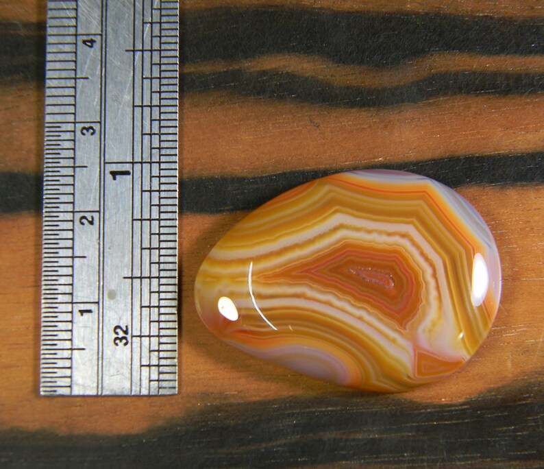 Orange and White Cabochon High Polish Natural Color Cabochon Condor Agate Cabochon