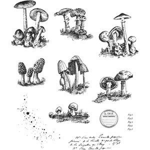 Tim Holtz Cling Stamp Set: Tiny Toadstools, by Stampers Anonymous (CMS377)