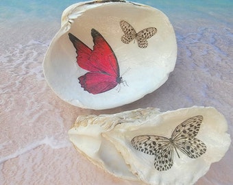 Set of 2 Decoupaged Seashells of Butterflies
