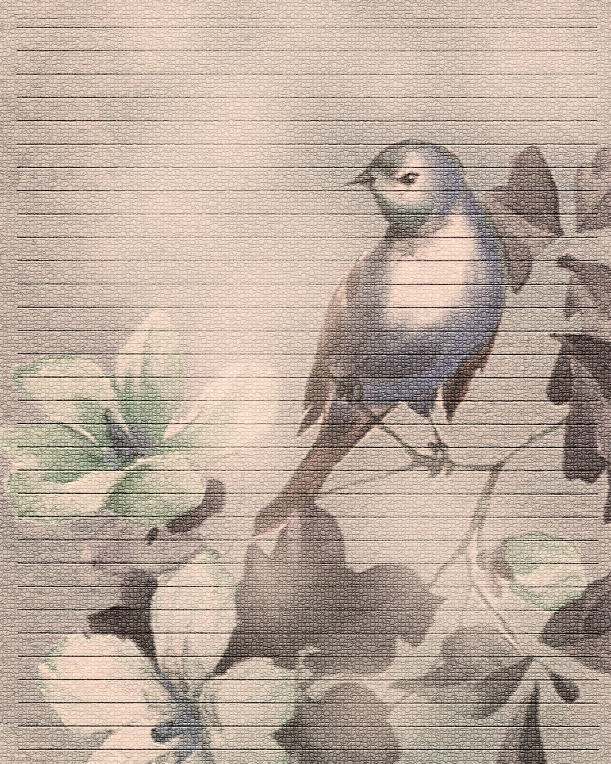 Parts of a bird free printable image