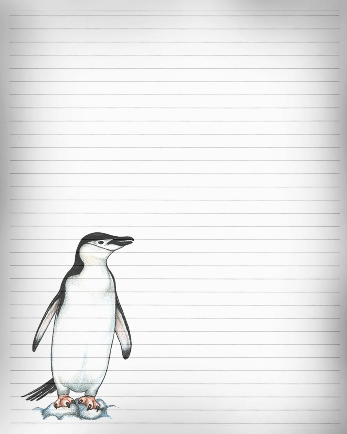 Printable Penguin Journal Page, Penguin Stationery, Lined Paper, 8 X 10 JPG  Instant Download, Scrapbook Paper, Penguin Digital Stationery - Etsy
