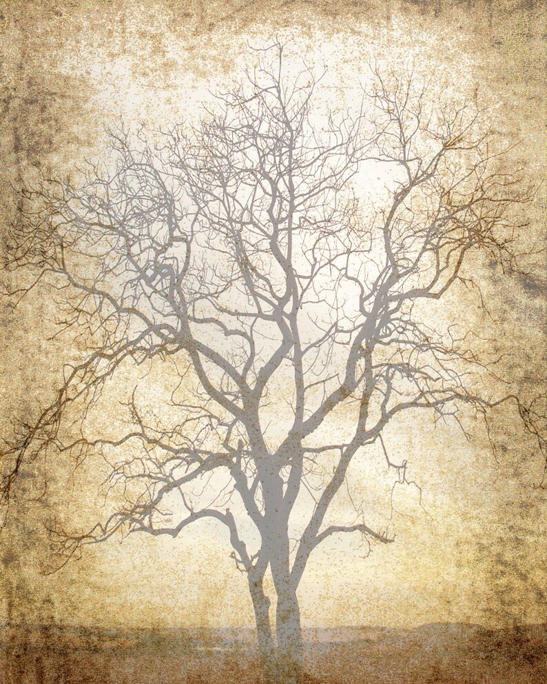 Printable Scrapbook Page 8 X 10 JPG Download Tree Print Etsy printable-scrapbook-page-8-x-10-jpg-download-tree-print-etsy