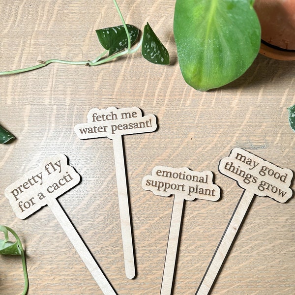 Engraved Funny Plant Marker Stakes, Garden Plant Accessories, Indoor Houseplant Decor, Wooden Plant Tags, Plant Lover Gardener Gift