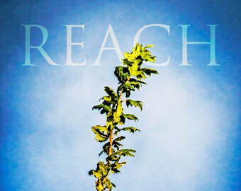 Reach  - Photograph - 8" x 10" matted and signed