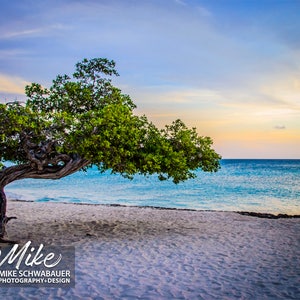 Aruba #1 - Fine Art Photograph