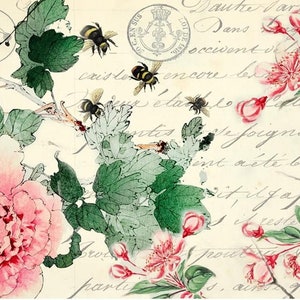 May include: A vintage postcard with a floral design featuring pink flowers, green leaves, and bees. The postcard has handwritten text in French.