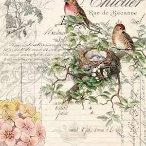 ROYCYCLED Decoupage Paper, Bird Ephemera, 21&quot; X 29&quot; Decoupage Paper, 18 lb Tissue Paper, Bird Ephemera Decoupage, Bird Ephemera Tissue Paper