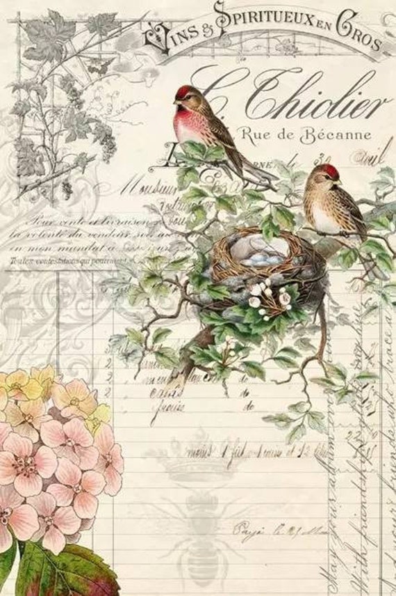 ROYCYCLED Decoupage Paper, Bird Ephemera, 21" X 29" Decoupage Paper, 18 lb Tissue Paper, Bird Ephemera Decoupage, Bird Ephemera Tissue Paper