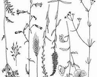 Iron Orchid Designs Sprigs 12x12 Décor Stamp™, IOD Sprigs Stamp, Floral Sprigs 12X12 Stamp