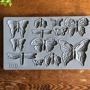 Iron Orchid Designs Monarch 6X10 Décor Mould™, IOD Monarch Mould, Clay/Wax/Food/Silicone Mould, Butterfly Mould/Dragonfly Mould
