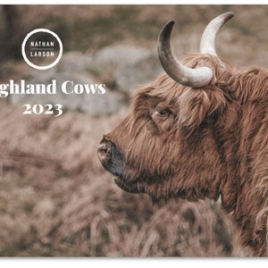 Cow Calendar - Etsy