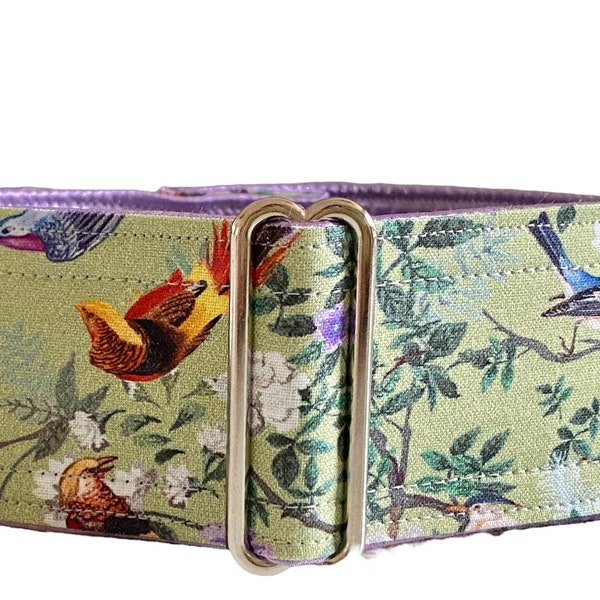 Sage Birds collar (dog collar, greyhound martingale, florals asian birds green pheasant elegant handmade wide cotton satin)