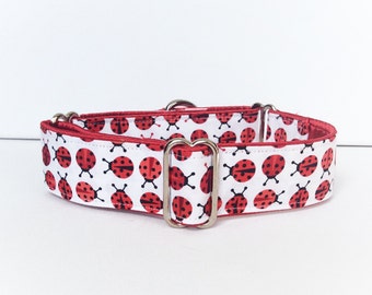 Lady bugs martingale collar (dog collar, greyhound martingale colorful cute insects ladybugs red black dots fun , print, white cotton satin)